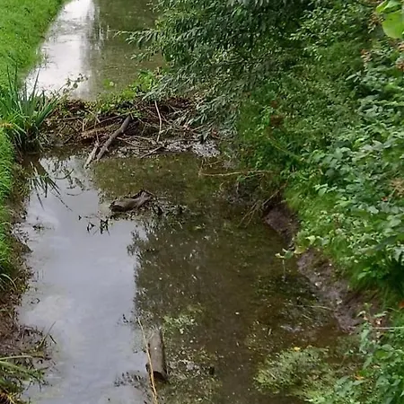 Haus Biber - Altersgerechtes Am Niederrhein - Sonsbeck